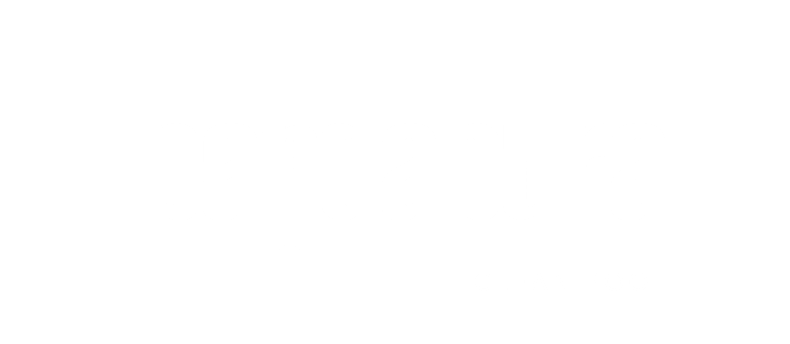 PANDAPURA_-_marcas